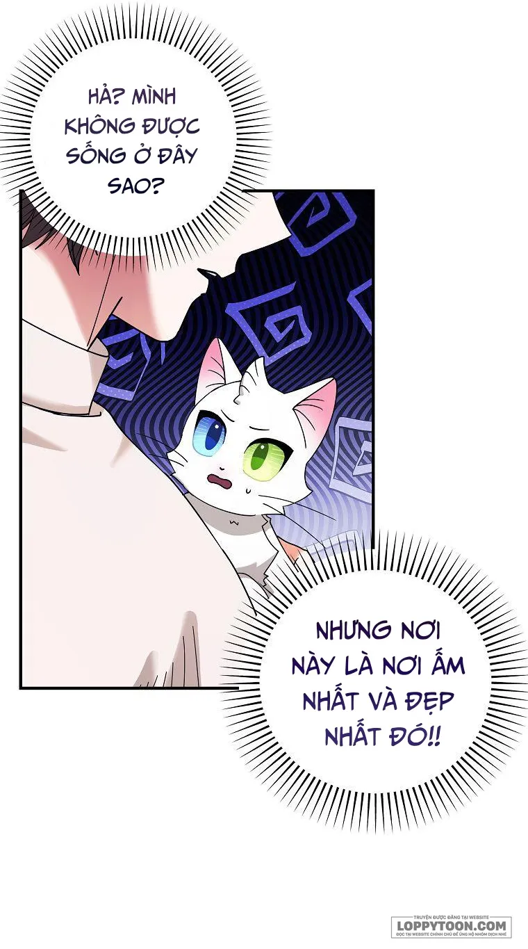 Trở Thành Miêu Nữ Của Hoàng Đế - Chap 2 - Trang 41