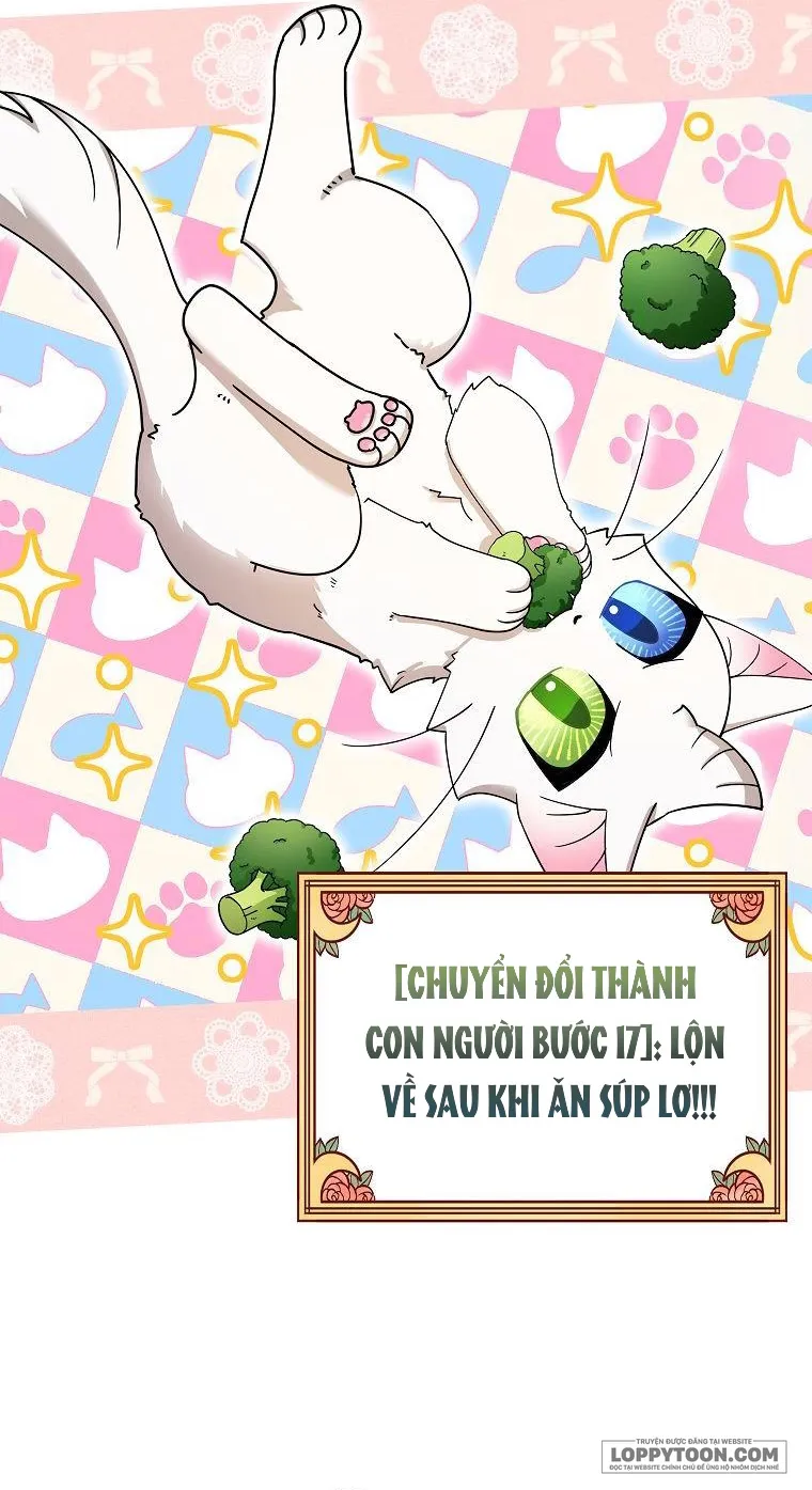 Trở Thành Miêu Nữ Của Hoàng Đế - Chap 2 - Trang 47