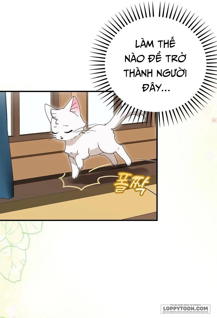 Trở Thành Miêu Nữ Của Hoàng Đế - Chap 2 - Trang 49