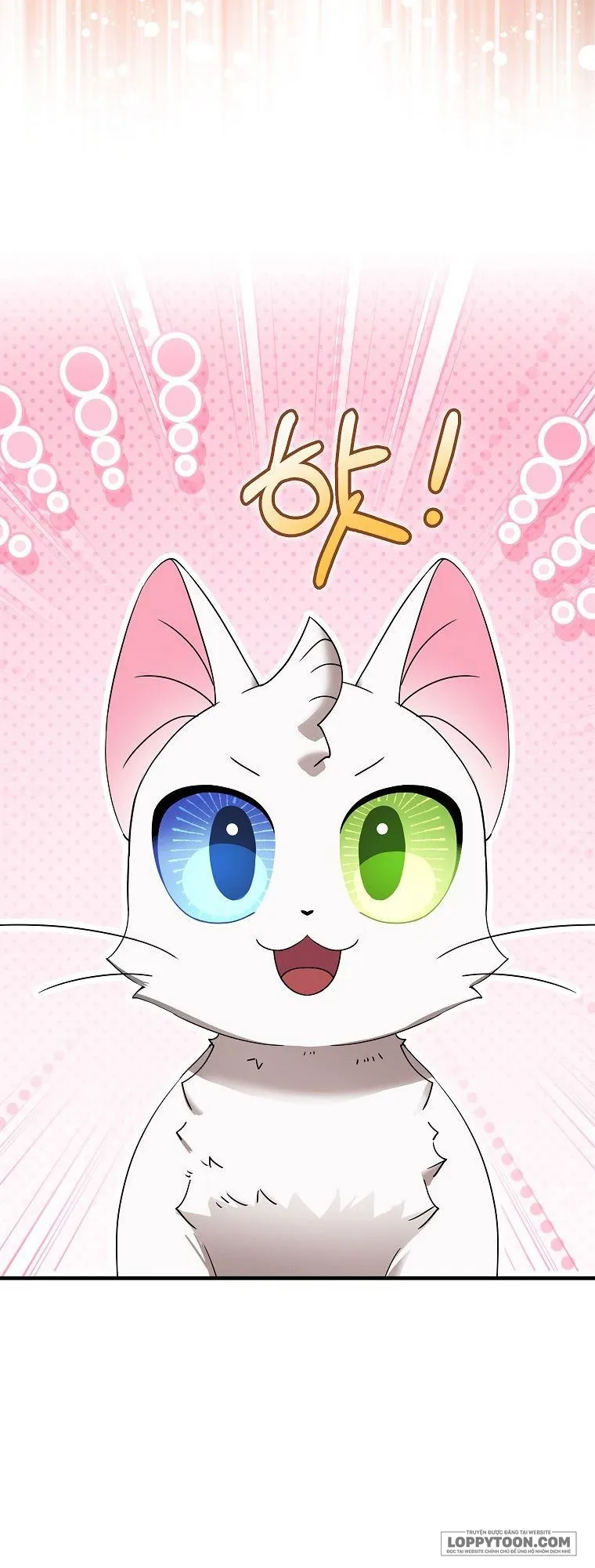 Trở Thành Miêu Nữ Của Hoàng Đế - Chap 20 - Trang 18