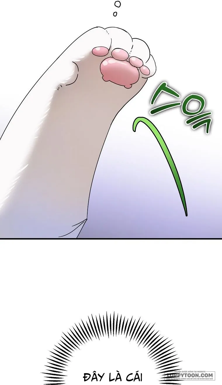 Trở Thành Miêu Nữ Của Hoàng Đế - Chap 21 - Trang 17