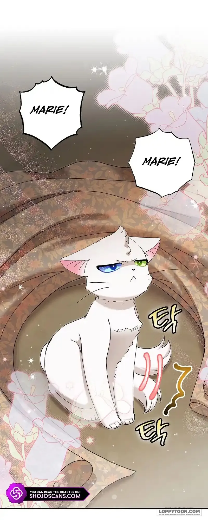 Trở Thành Miêu Nữ Của Hoàng Đế - Chap 25 - Trang 12