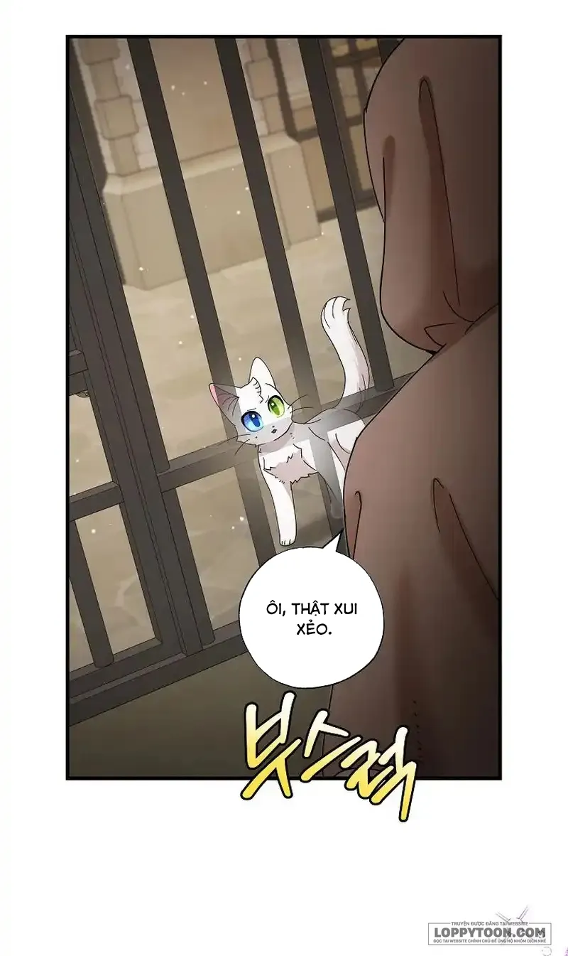 Trở Thành Miêu Nữ Của Hoàng Đế - Chap 25 - Trang 3