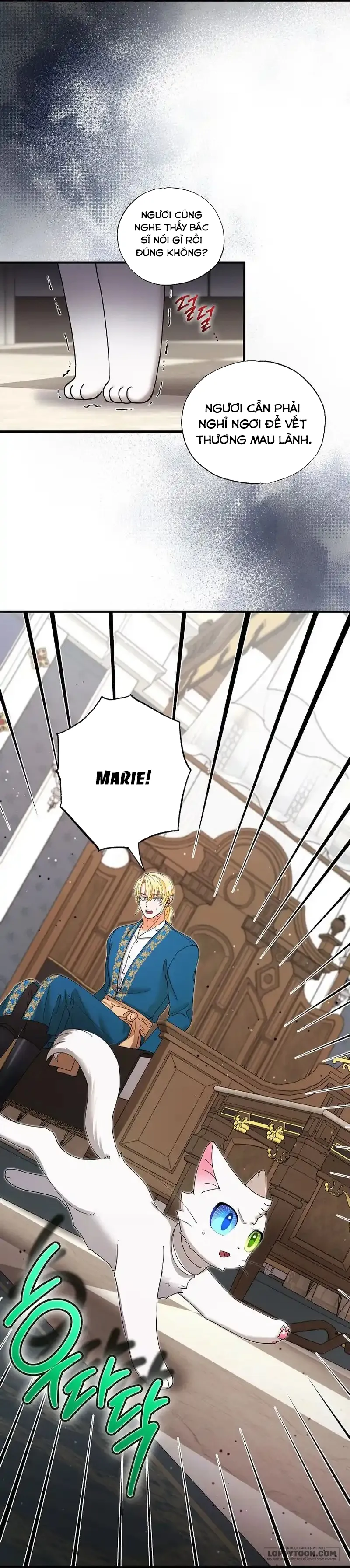 Trở Thành Miêu Nữ Của Hoàng Đế - Chap 25 - Trang 41