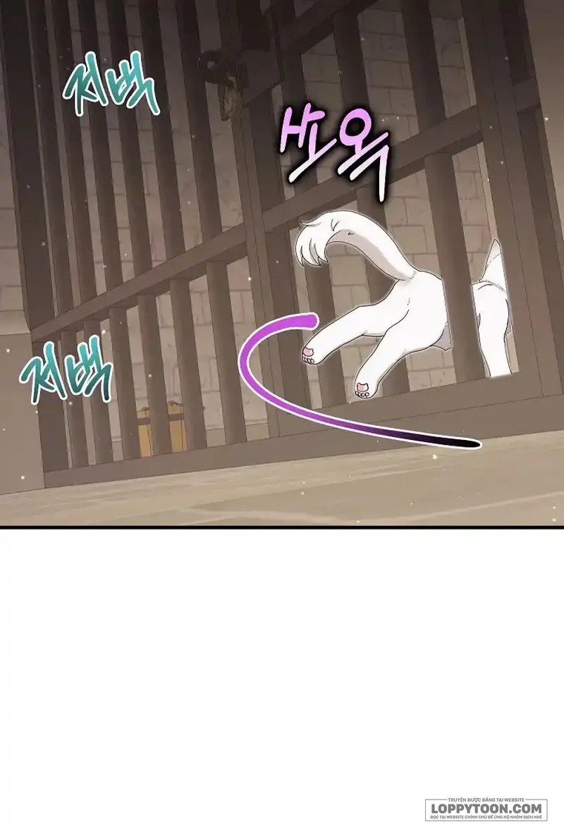Trở Thành Miêu Nữ Của Hoàng Đế - Chap 25 - Trang 9