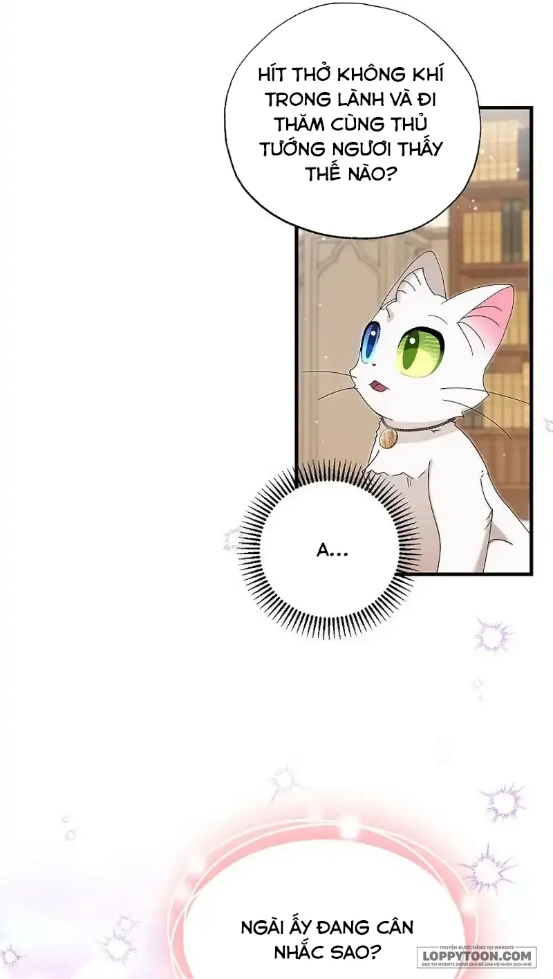 Trở Thành Miêu Nữ Của Hoàng Đế - Chap 26 - Trang 20