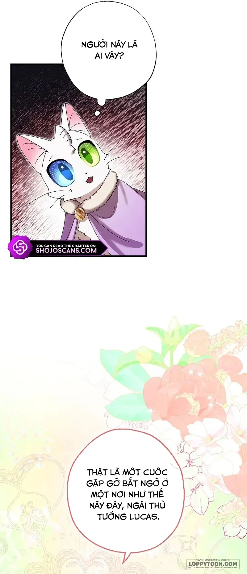 Trở Thành Miêu Nữ Của Hoàng Đế - Chap 28 - Trang 47
