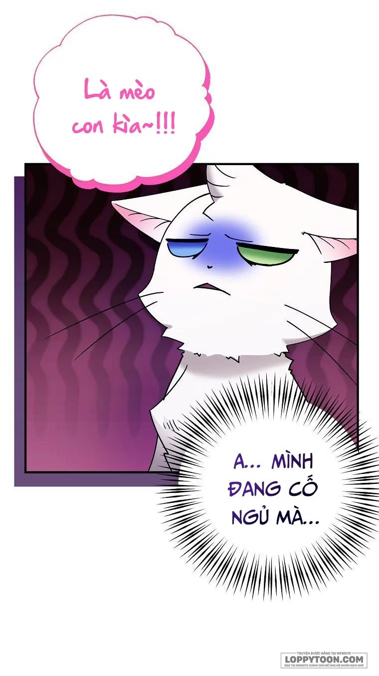 Trở Thành Miêu Nữ Của Hoàng Đế - Chap 3 - Trang 14