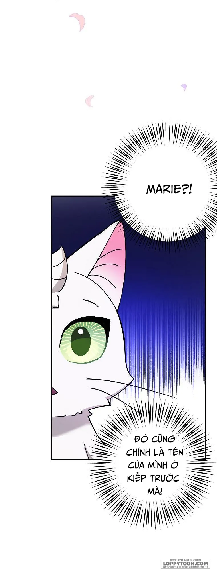 Trở Thành Miêu Nữ Của Hoàng Đế - Chap 3 - Trang 28