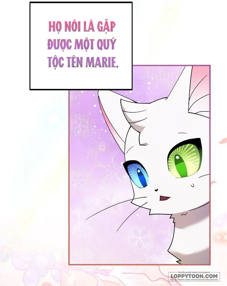 Trở Thành Miêu Nữ Của Hoàng Đế - Chap 3 - Trang 31