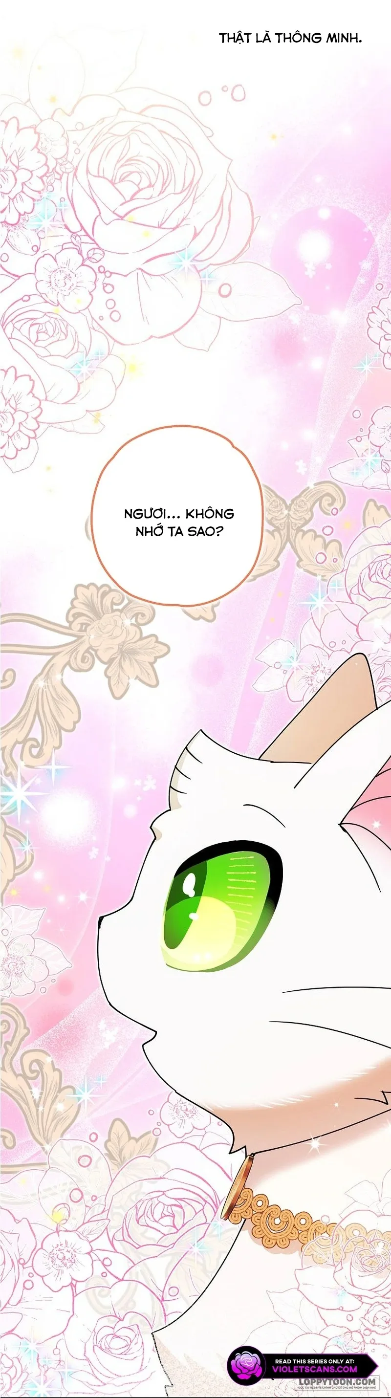 Trở Thành Miêu Nữ Của Hoàng Đế - Chap 32 - Trang 52