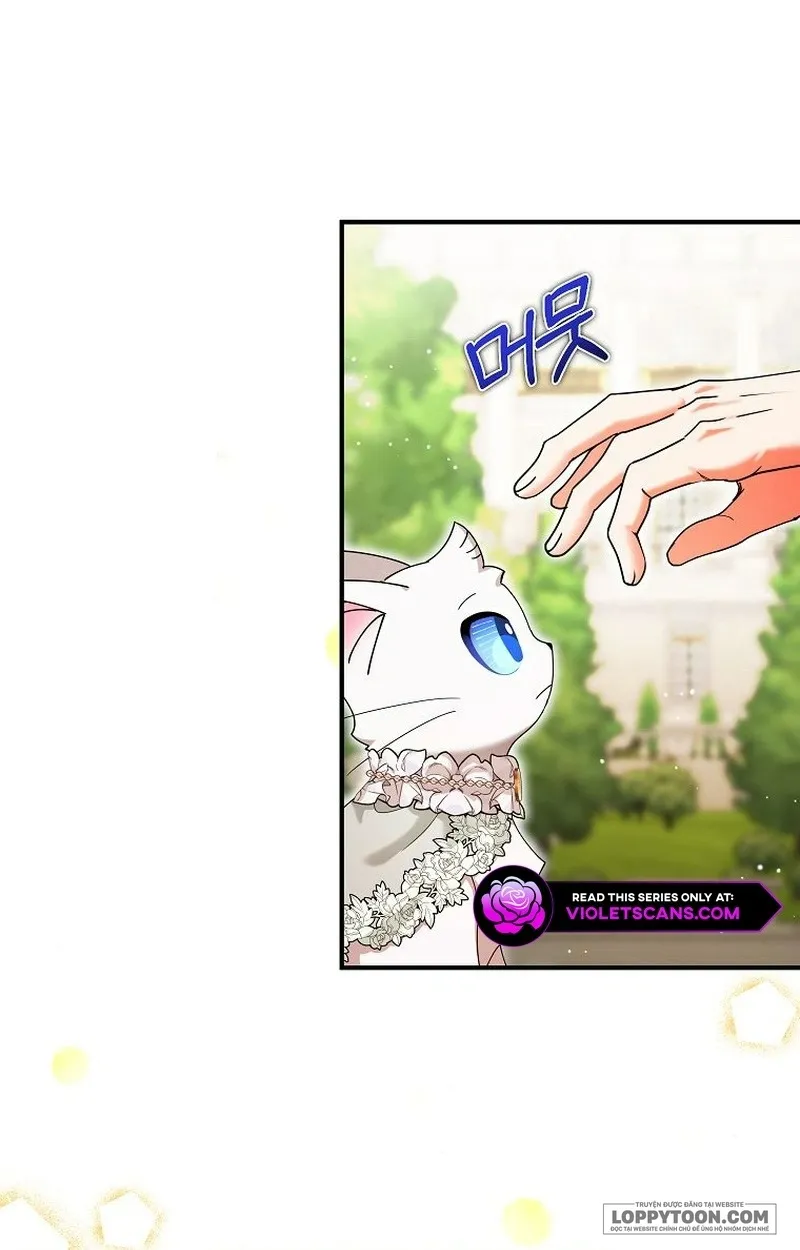 Trở Thành Miêu Nữ Của Hoàng Đế - Chap 32 - Trang 8
