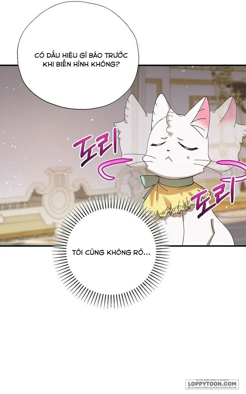 Trở Thành Miêu Nữ Của Hoàng Đế - Chap 33 - Trang 19