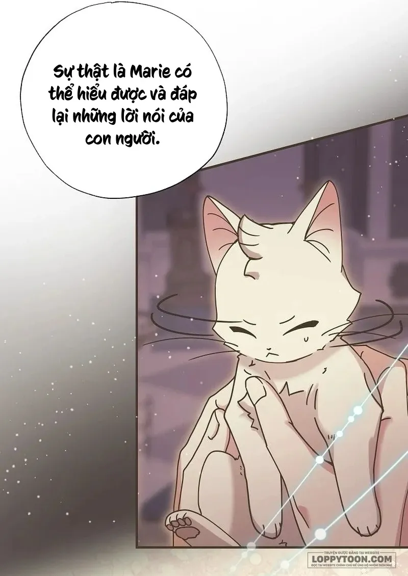 Trở Thành Miêu Nữ Của Hoàng Đế - Chap 35 - Trang 34