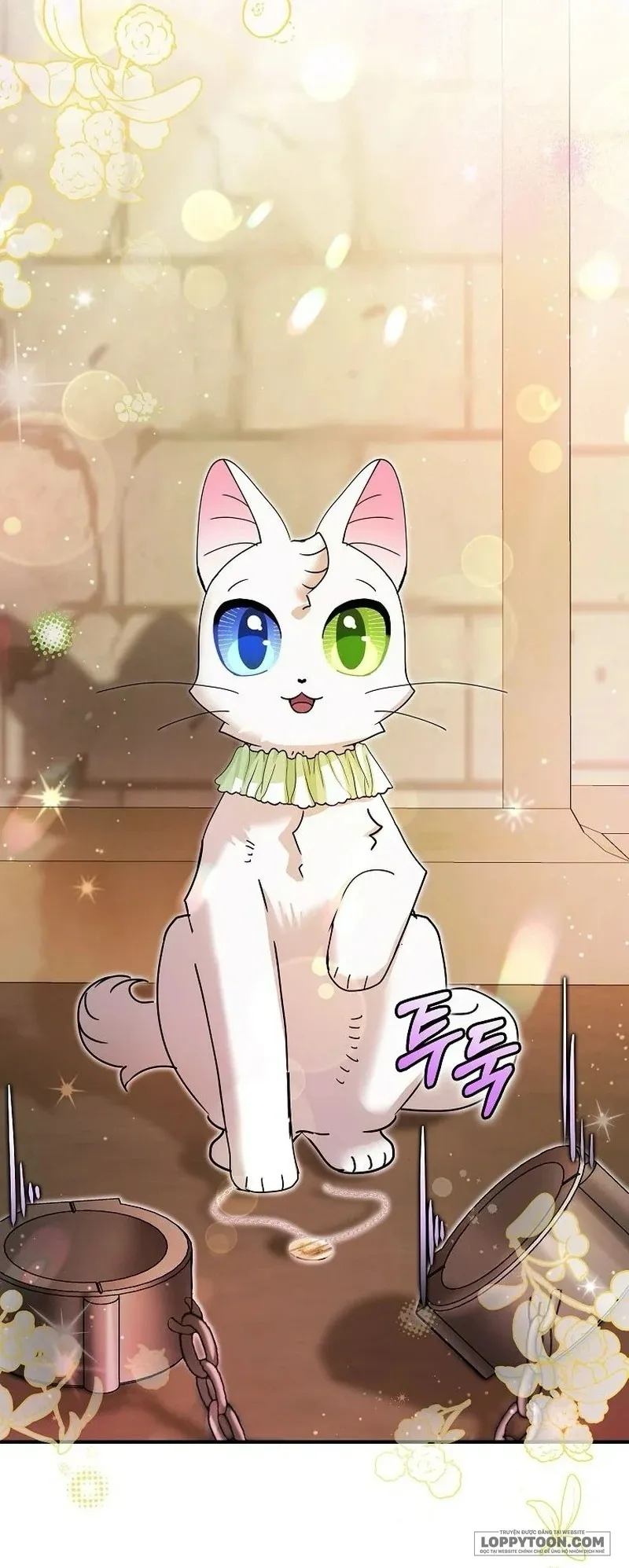Trở Thành Miêu Nữ Của Hoàng Đế - Chap 35 - Trang 55