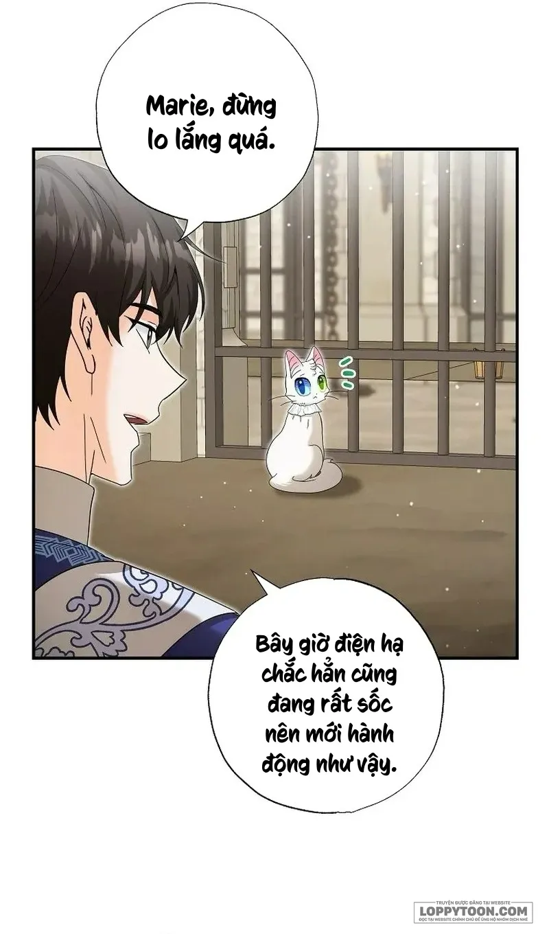 Trở Thành Miêu Nữ Của Hoàng Đế - Chap 36 - Trang 7