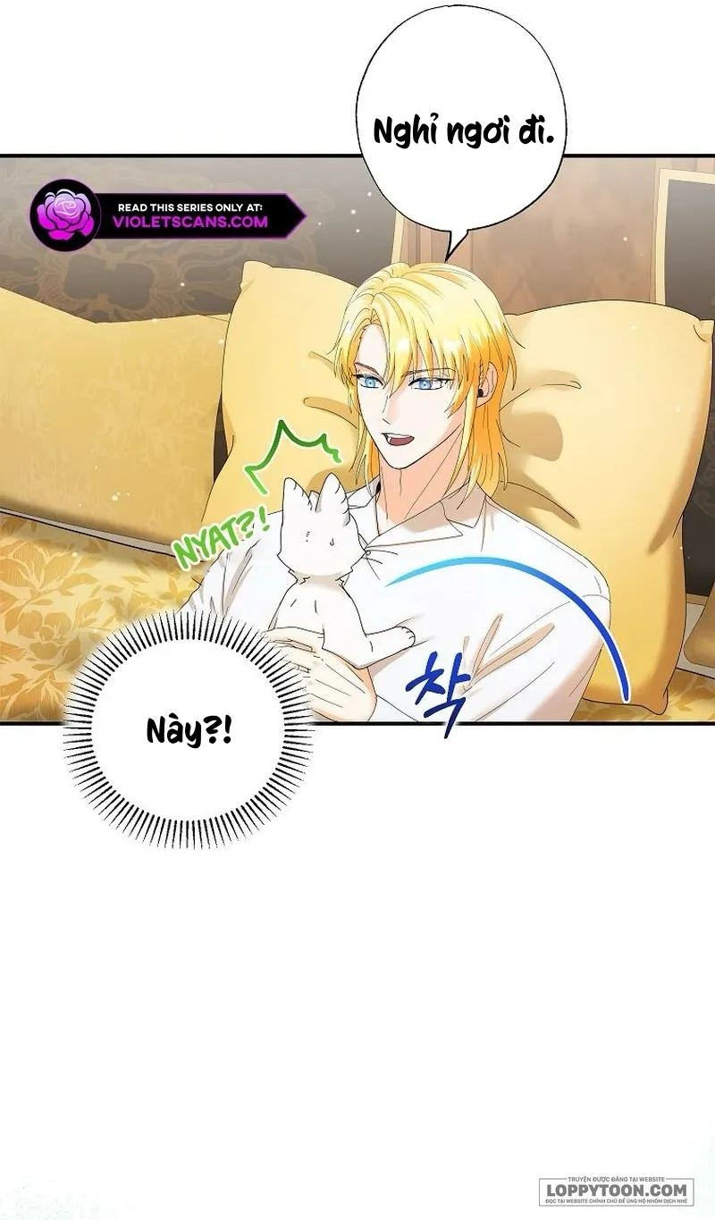 Trở Thành Miêu Nữ Của Hoàng Đế - Chap 37 - Trang 29