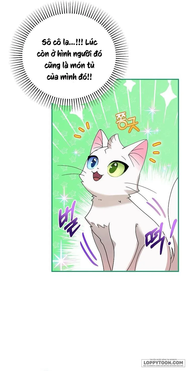 Trở Thành Miêu Nữ Của Hoàng Đế - Chap 4 - Trang 21