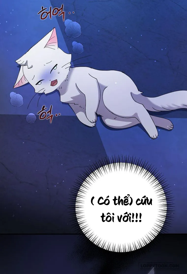 Trở Thành Miêu Nữ Của Hoàng Đế - Chap 4 - Trang 29