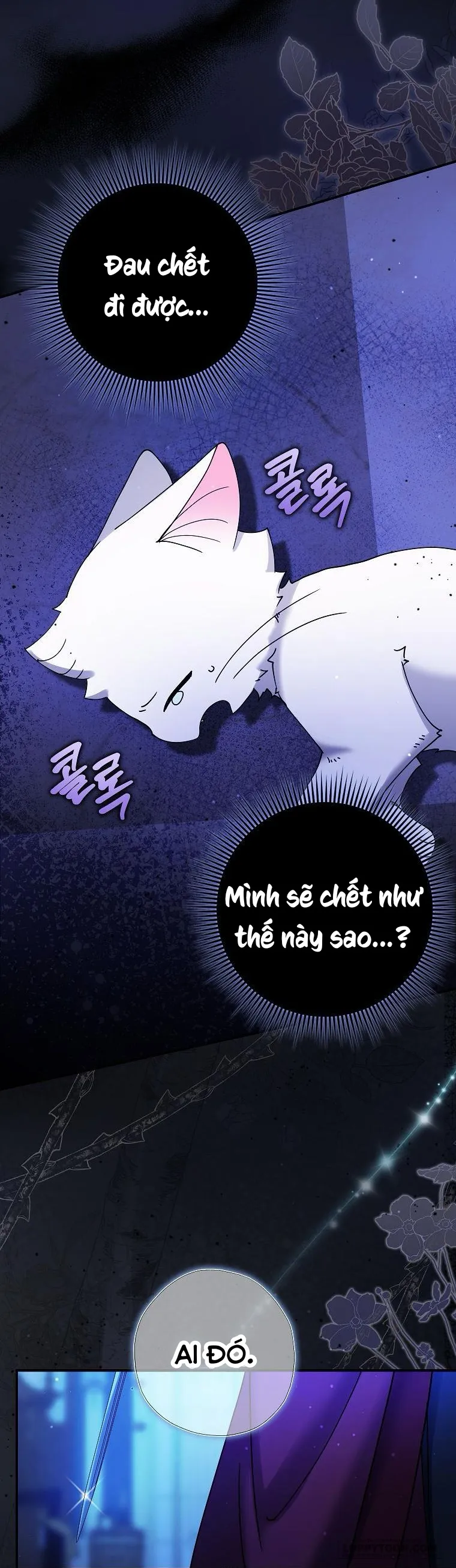 Trở Thành Miêu Nữ Của Hoàng Đế - Chap 4 - Trang 30