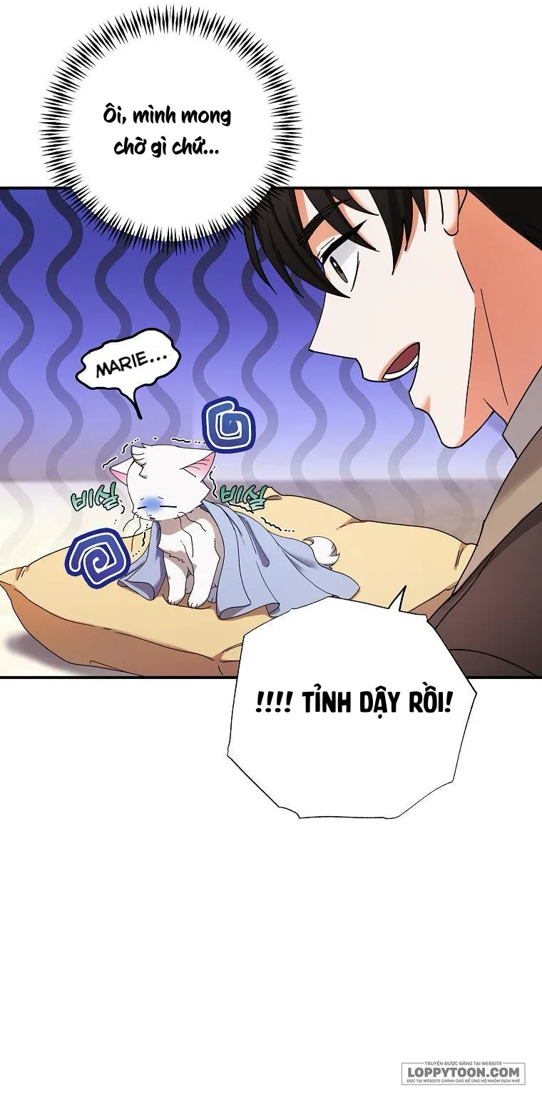 Trở Thành Miêu Nữ Của Hoàng Đế - Chap 4 - Trang 40