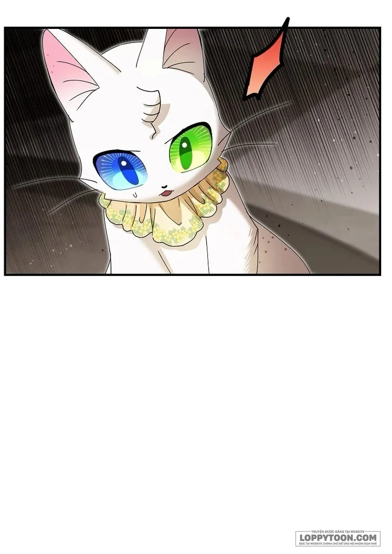 Trở Thành Miêu Nữ Của Hoàng Đế - Chap 40 - Trang 23
