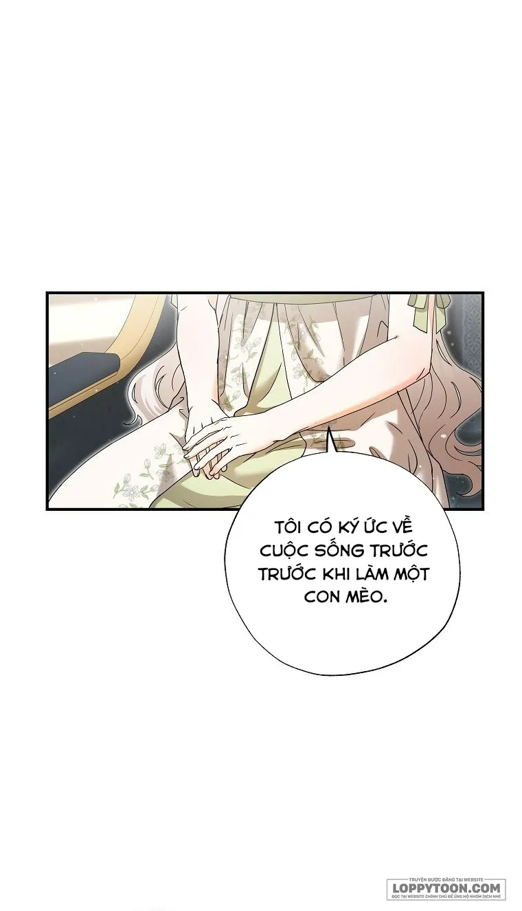 Trở Thành Miêu Nữ Của Hoàng Đế - Chap 41 - Trang 35
