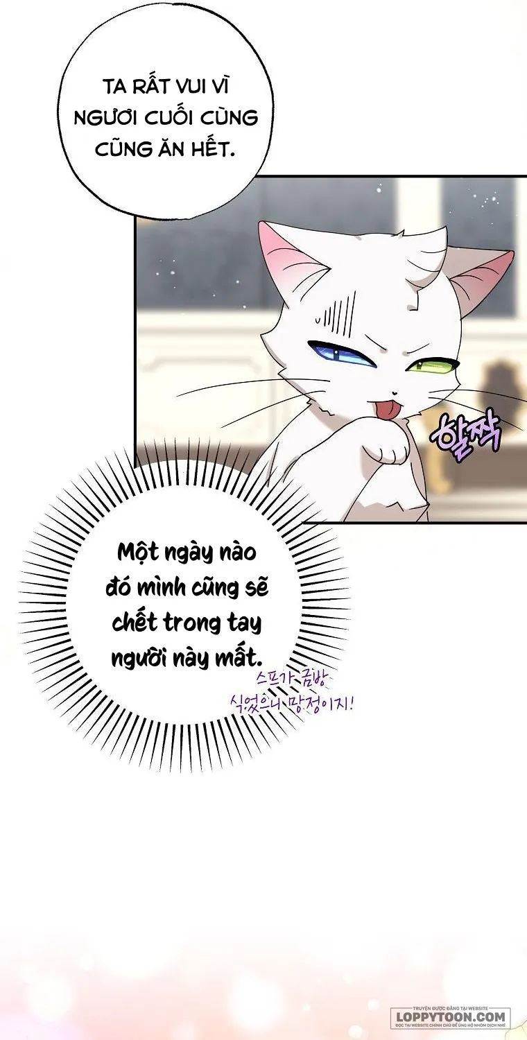 Trở Thành Miêu Nữ Của Hoàng Đế - Chap 5 - Trang 35