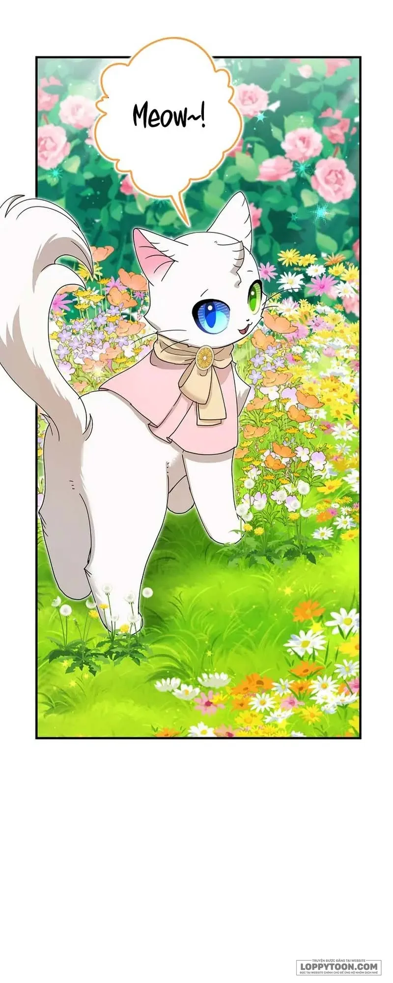 Trở Thành Miêu Nữ Của Hoàng Đế - Chap 52 - Trang 3