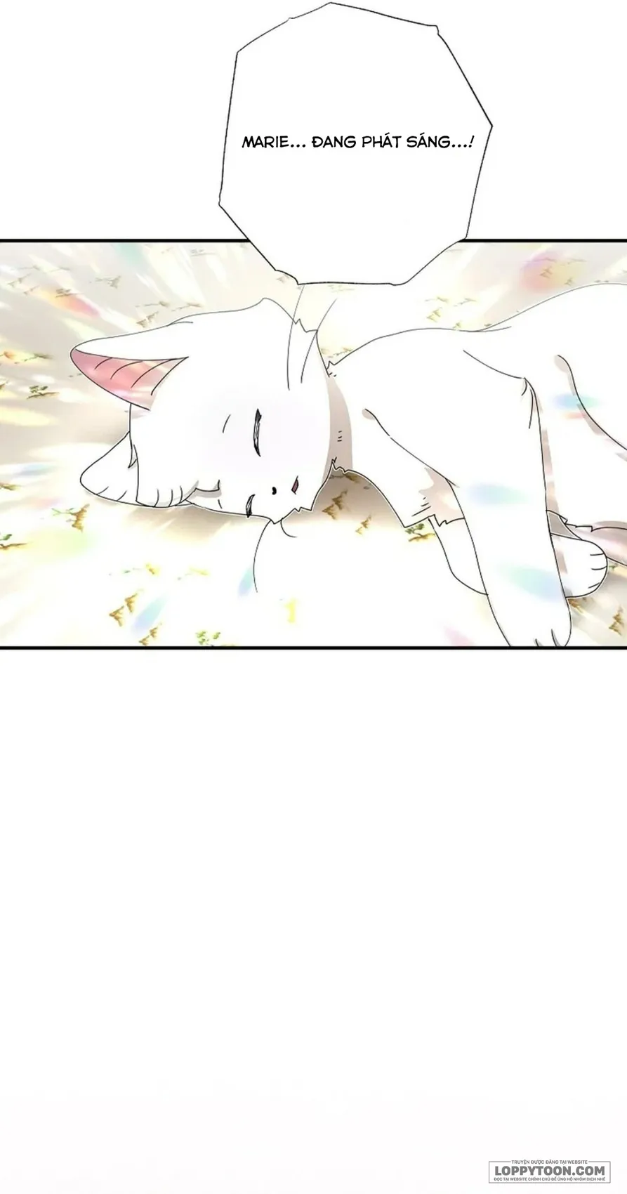 Trở Thành Miêu Nữ Của Hoàng Đế - Chap 54 - Trang 60