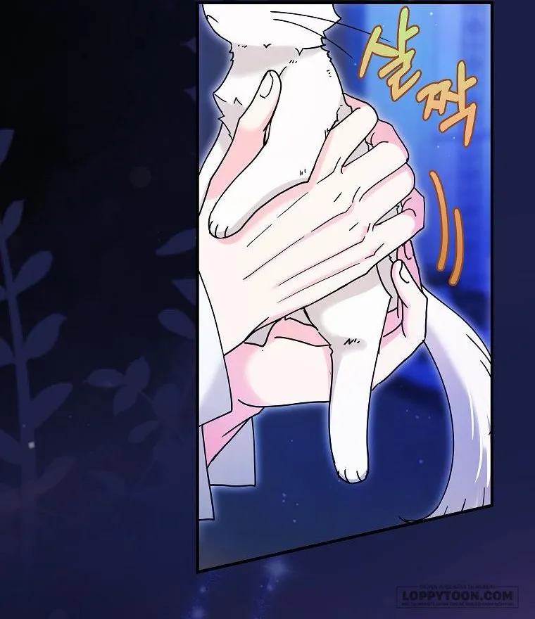 Trở Thành Miêu Nữ Của Hoàng Đế - Chap 6 - Trang 13