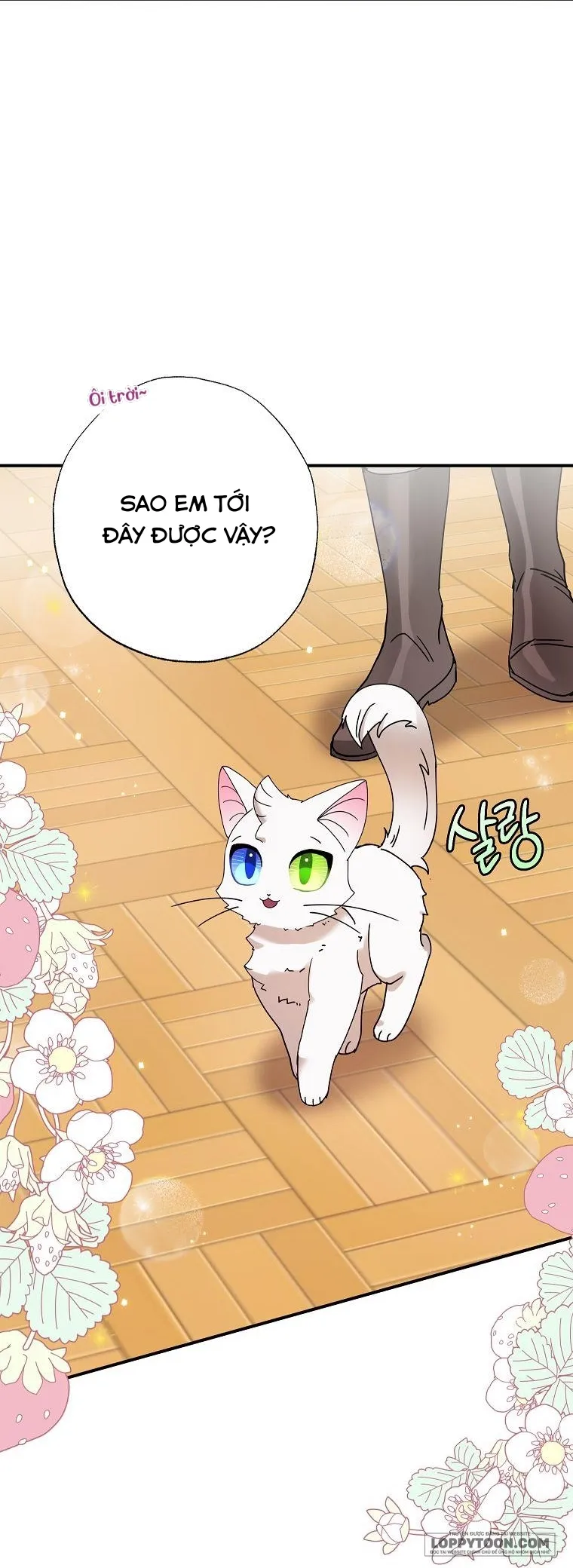 Trở Thành Miêu Nữ Của Hoàng Đế - Chap 7 - Trang 9