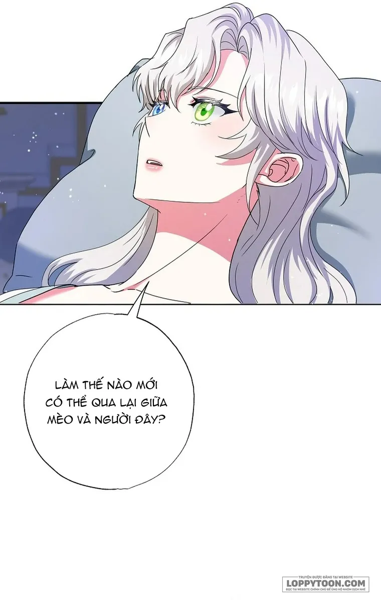 Trở Thành Miêu Nữ Của Hoàng Đế - Chap 72 - Trang 37