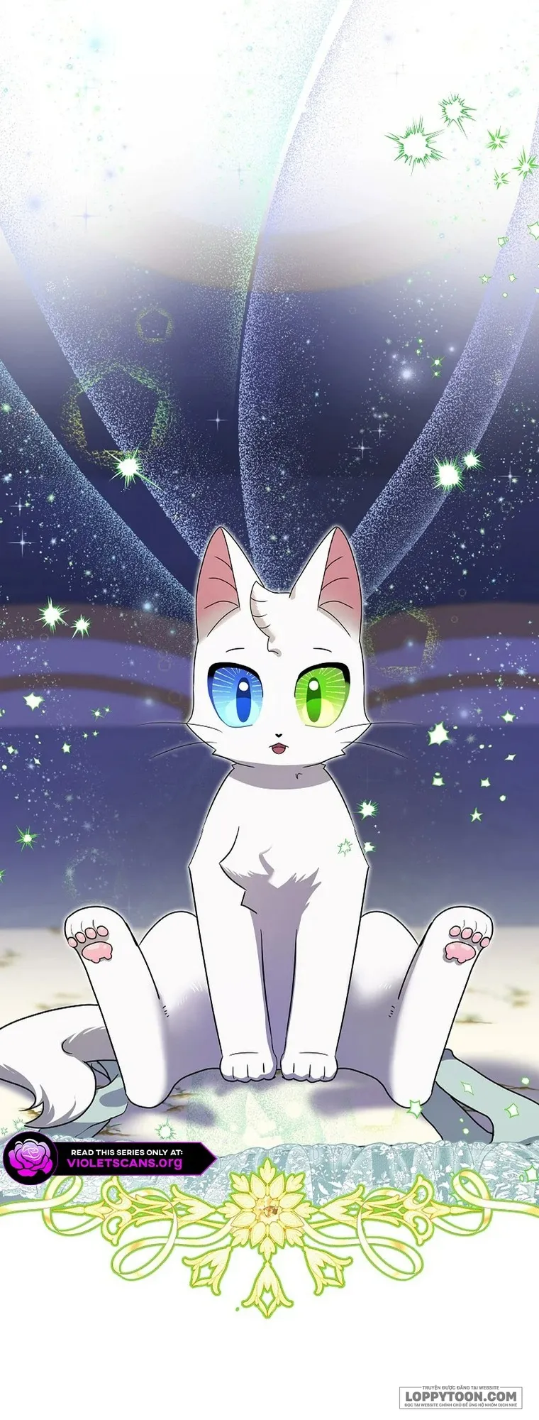 Trở Thành Miêu Nữ Của Hoàng Đế - Chap 72 - Trang 44