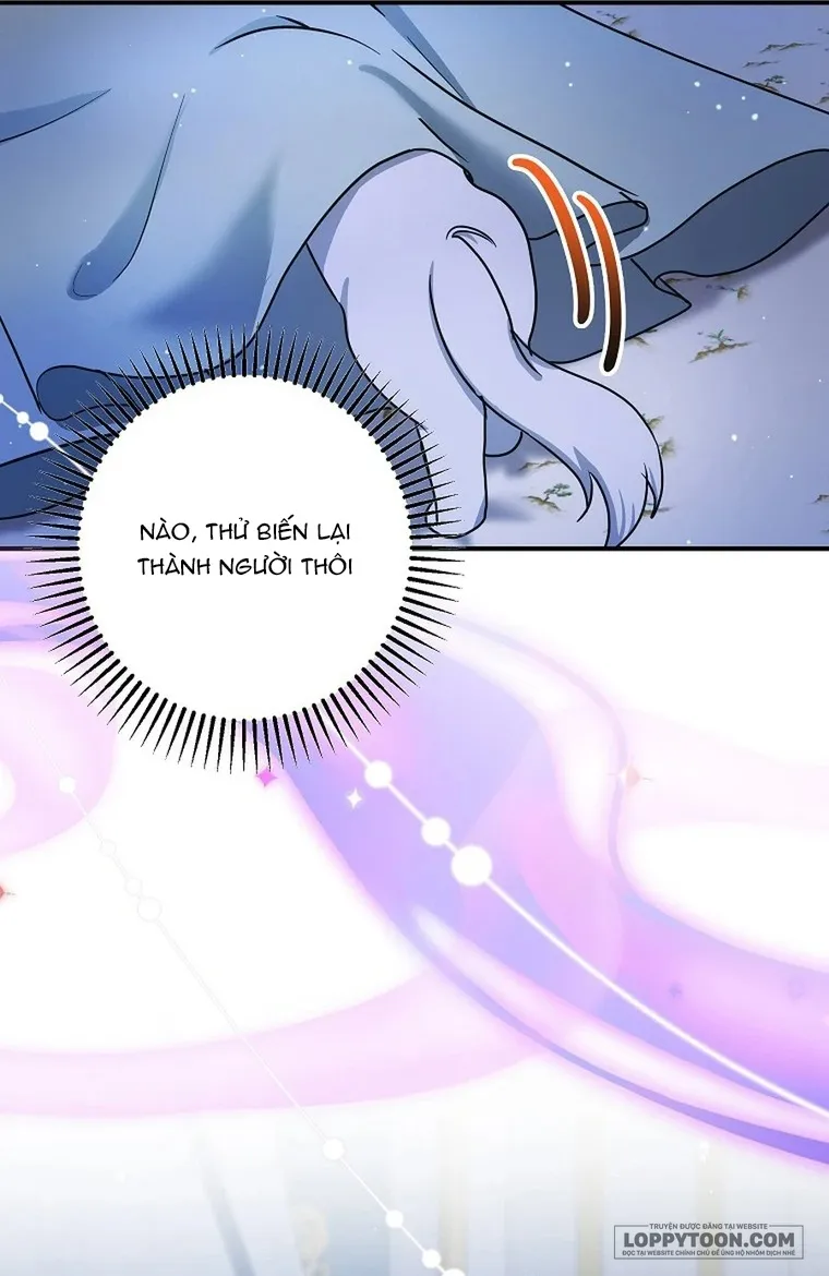 Trở Thành Miêu Nữ Của Hoàng Đế - Chap 72 - Trang 54