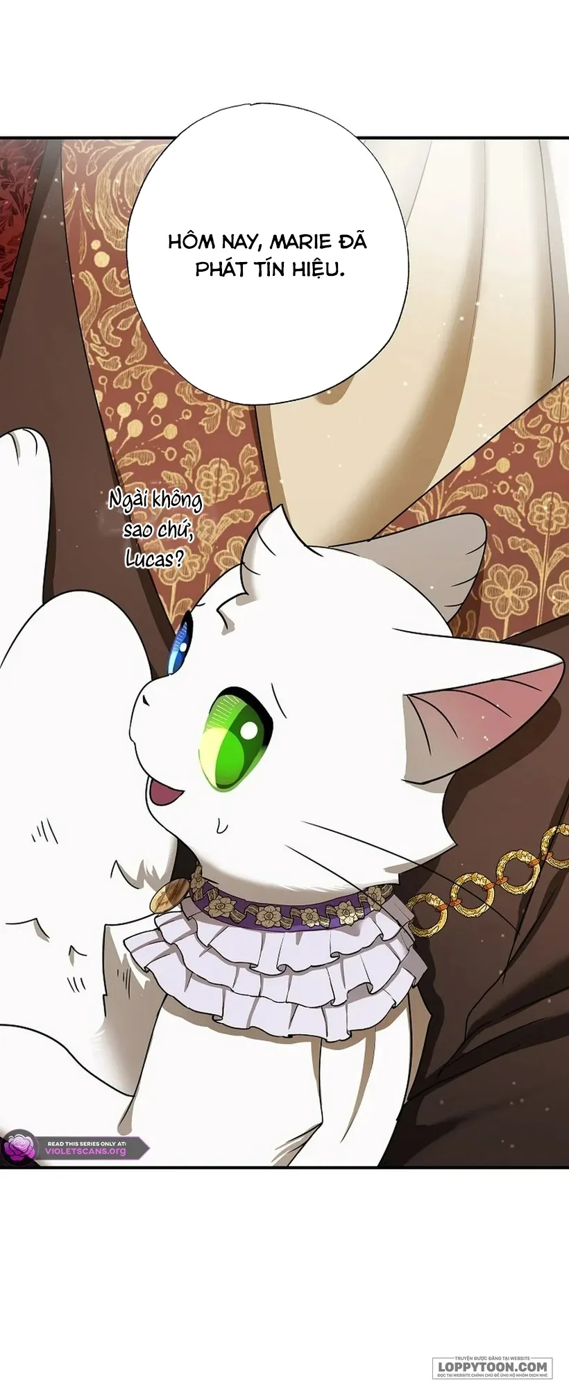 Trở Thành Miêu Nữ Của Hoàng Đế - Chap 74 - Trang 7