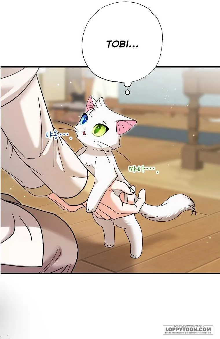 Trở Thành Miêu Nữ Của Hoàng Đế - Chap 8 - Trang 19