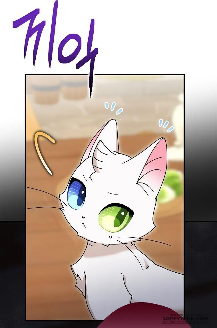 Trở Thành Miêu Nữ Của Hoàng Đế - Chap 8 - Trang 51