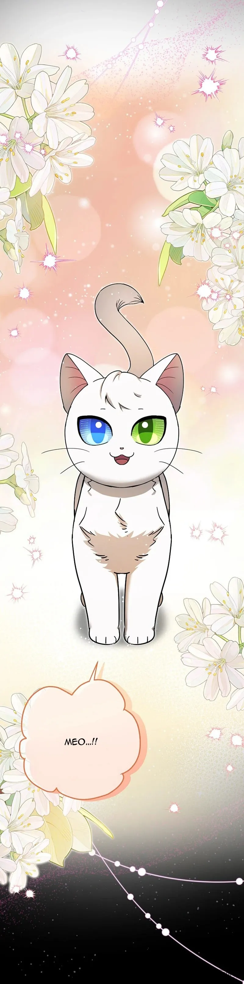 Trở Thành Miêu Nữ Của Hoàng Đế - Chap 82 - Trang 5