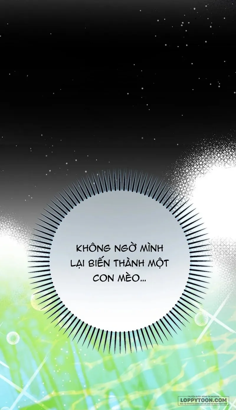 Trở Thành Miêu Nữ Của Hoàng Đế - Chap 84 - Trang 22