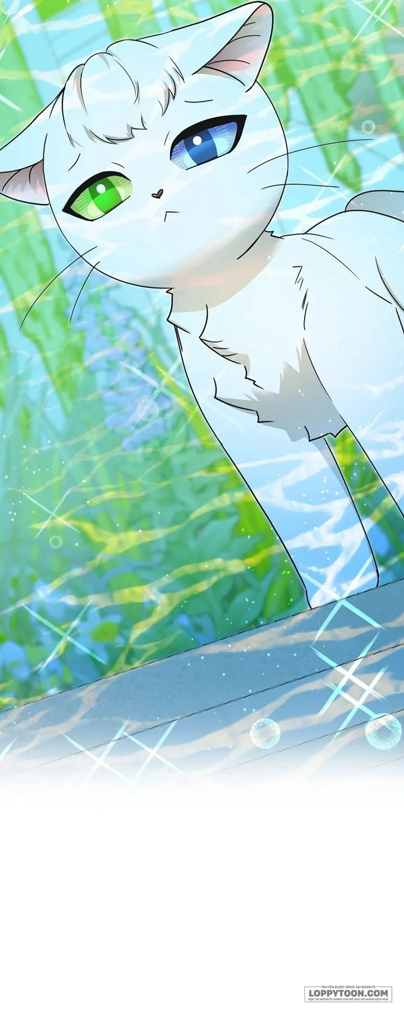 Trở Thành Miêu Nữ Của Hoàng Đế - Chap 84 - Trang 23