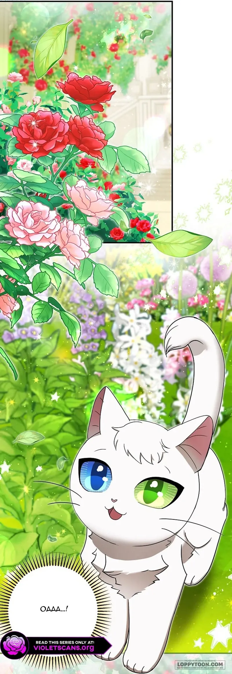 Trở Thành Miêu Nữ Của Hoàng Đế - Chap 84 - Trang 28
