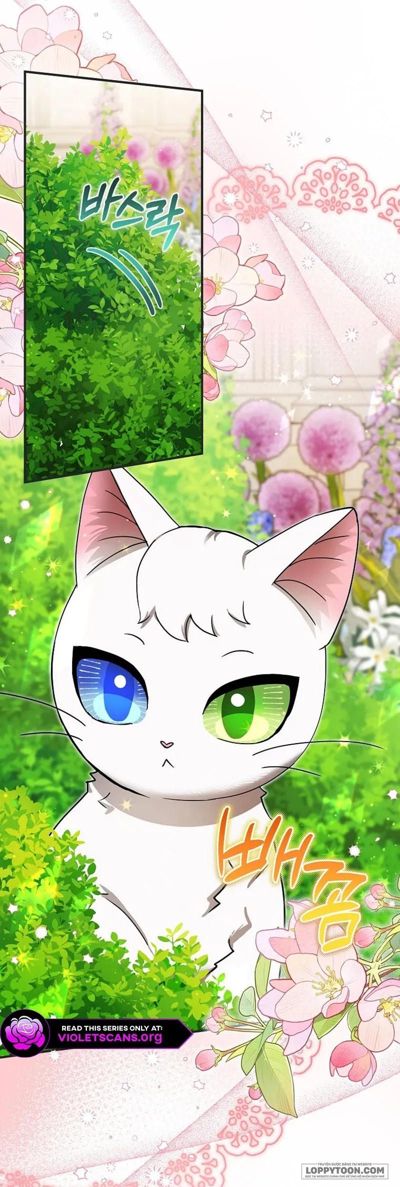 Trở Thành Miêu Nữ Của Hoàng Đế - Chap 84 - Trang 4
