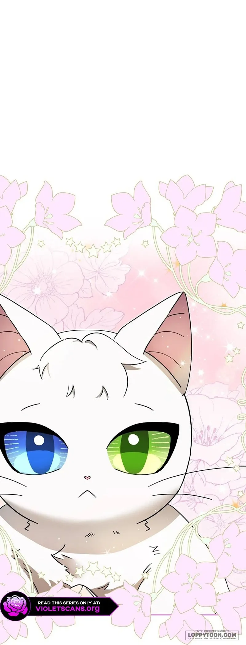 Trở Thành Miêu Nữ Của Hoàng Đế - Chap 84 - Trang 40