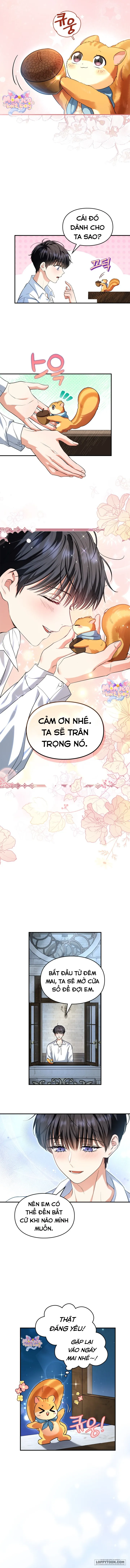Trở Thành Sóc Nhỏ Của Kẻ Phản Diện - Chap 2 - Trang 9