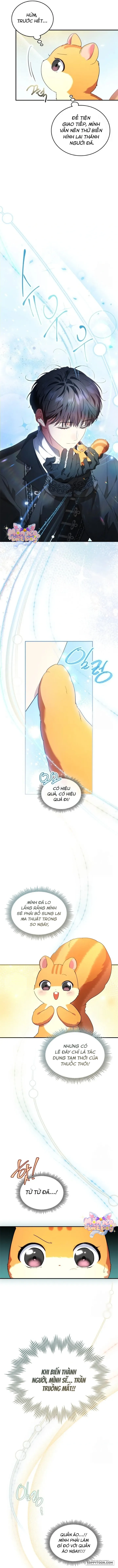 Trở Thành Sóc Nhỏ Của Kẻ Phản Diện - Chap 23 - Trang 5