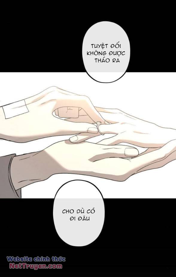 Tự Do Trong Mơ - Chap 204 - Trang 46
