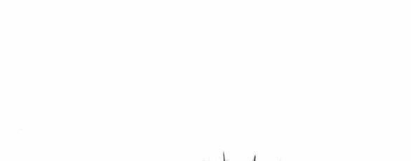 Tự Do Trong Mơ - Chap 98.1 - Trang 53