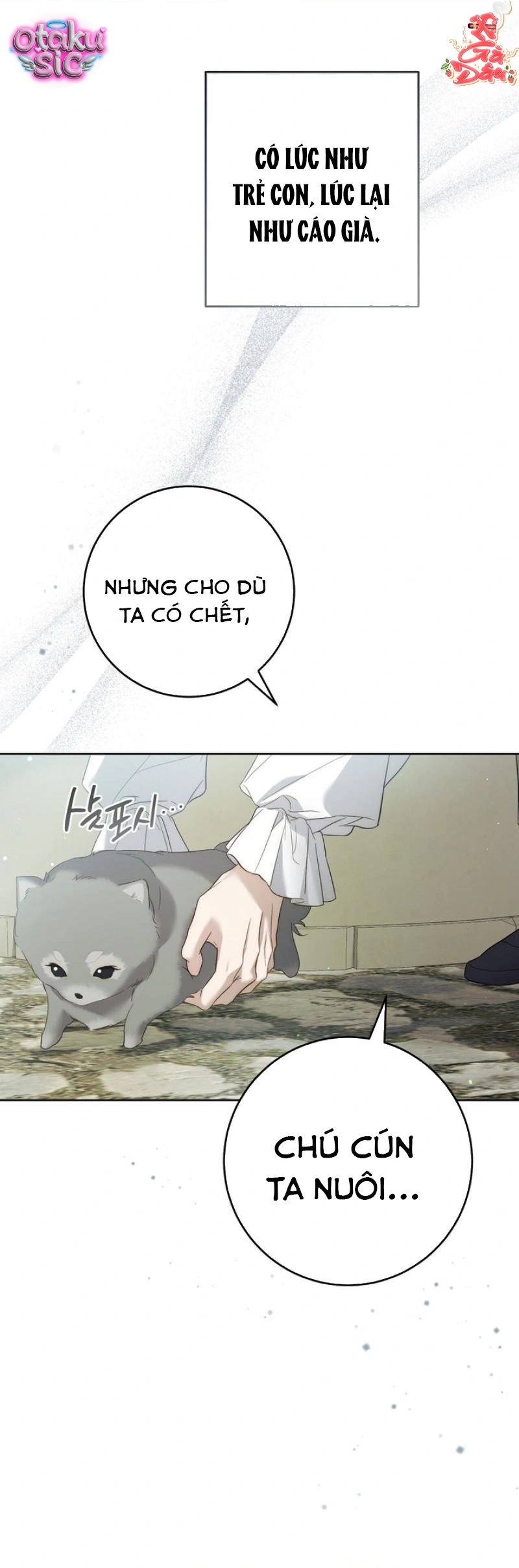 Valentina - Bông Hồng Trong Biển Lửa - Chap 5 - Trang 61