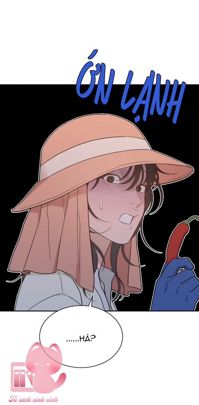 Vận May Không Ngờ - Chap 71 - Trang 35